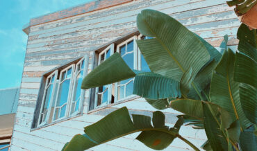 shorehouse 1